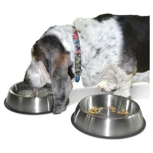 PetFusion Premium Juego de 2 cuencos de acero inoxidable_2