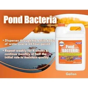 PondWorx Pond Bacteria Formulated for Large Ponds Water_2