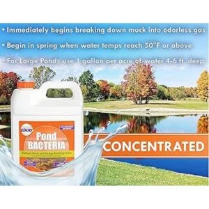 PondWorx Pond Bacteria Formulated for Large Ponds Water_3