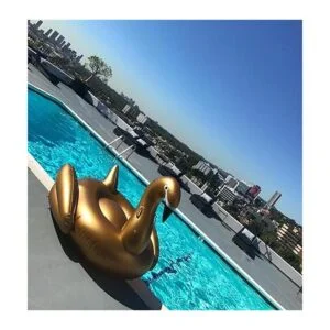 Jasonwell Giant Inflatable Pool Float Golden Swan Pegasus_5