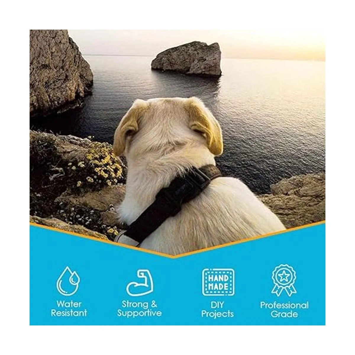 Houseables Correas de polipropileno correas de 2_3