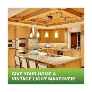 Bioluz LED 92 bombillas LED CRI E26 de 60 W regulables_2