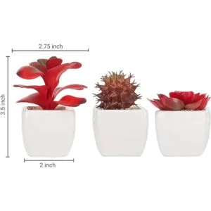 MyGift Surtido de plantas suculentas rojas artificiales_5