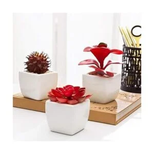 MyGift Surtido de plantas suculentas rojas artificiales_3