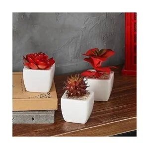 MyGift Surtido de plantas suculentas rojas artificiales_6