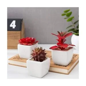 MyGift Surtido de plantas suculentas rojas artificiales_2