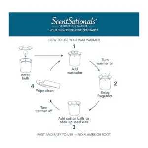 Scentsationals Groovy Retro Collection Oldies Antique_6