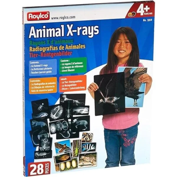 Animal XRays 13 Piezas_2