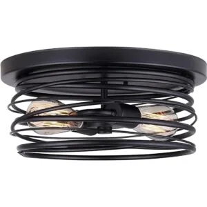 Canarm IFM411B14BK LTD Ryland Lámpara de techo 2 luces_1