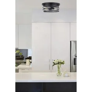 Canarm IFM411B14BK LTD Ryland Lámpara de techo 2 luces_2