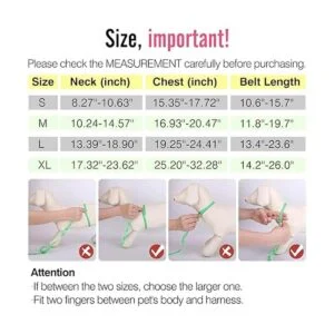 Pawaboo Chaleco arnés de seguridad para perro cinturón_5