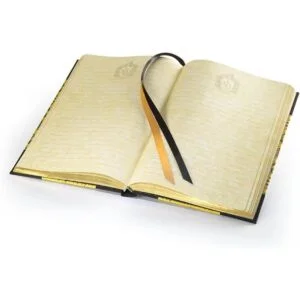 Harry Potter Hufflepuff Diario_2