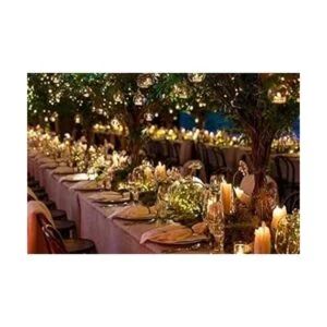 Dailyart Guirnalda de luces LED de 120 luces LED_4