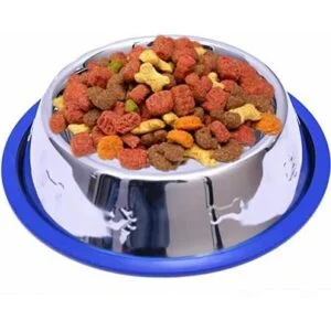 Juego de 2 tazones para perro de acero inoxidable grabados