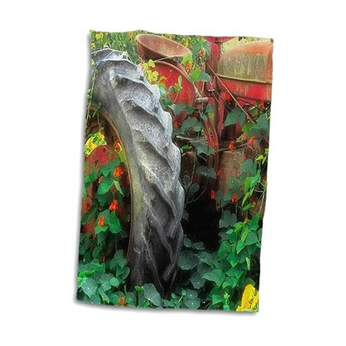 3dRose Danita Delimont Flores Spring Flowers adorn an_3