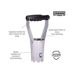 Edward Tools Maceta de bulbos Herramienta sin curvas_2
