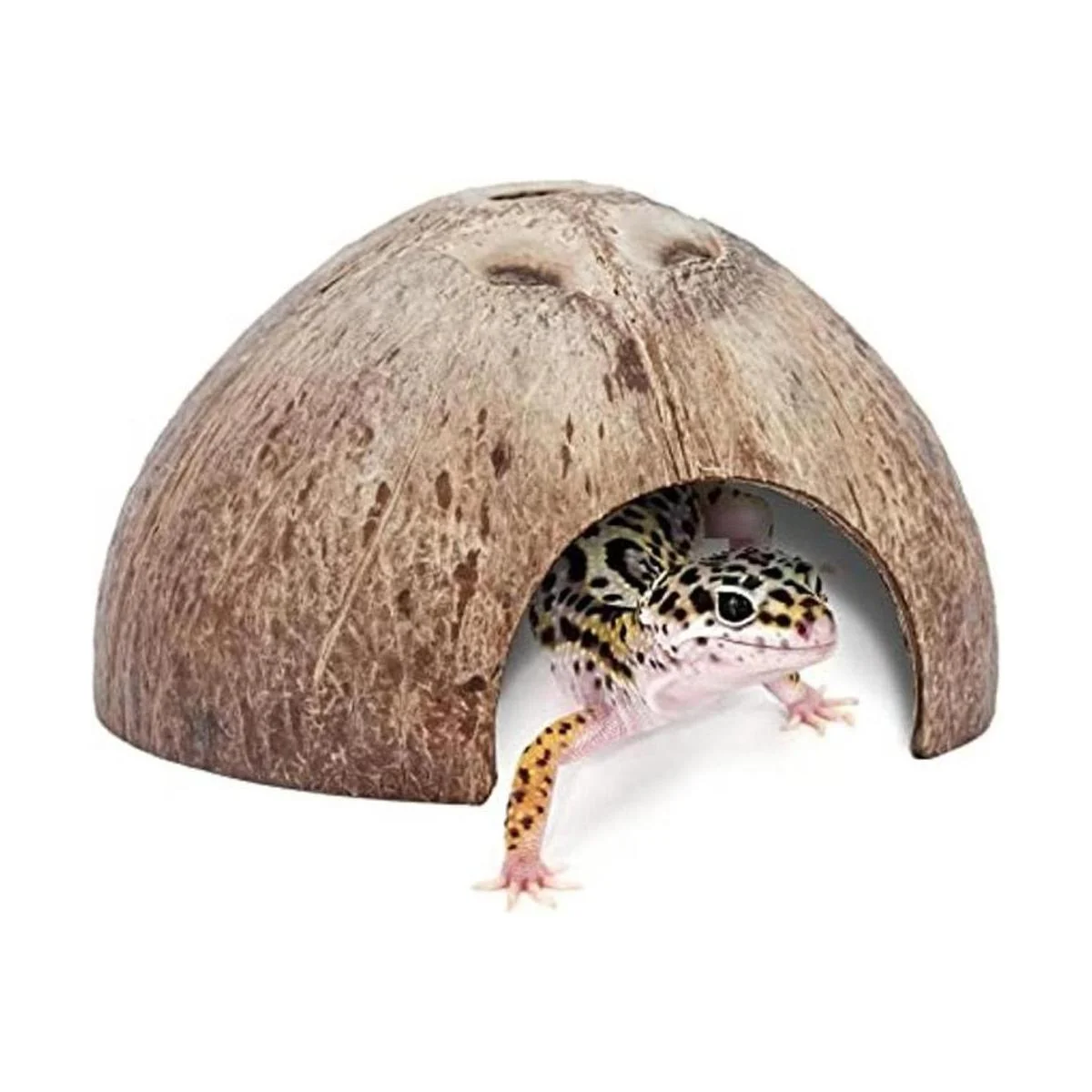 Niteangel Paquete de 2 escondites de reptil de coco