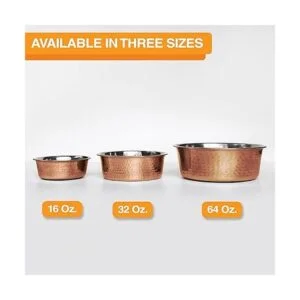 Neater Pet Brands Tazones decorativos de diseñador_5