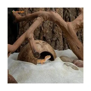Niteangel Paquete de 2 escondites de reptil de coco