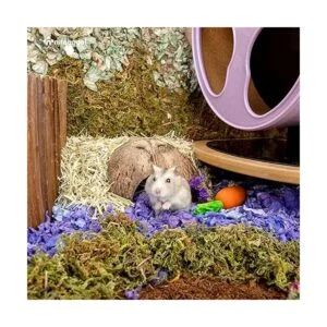 Niteangel Paquete de 2 escondites de reptil de coco