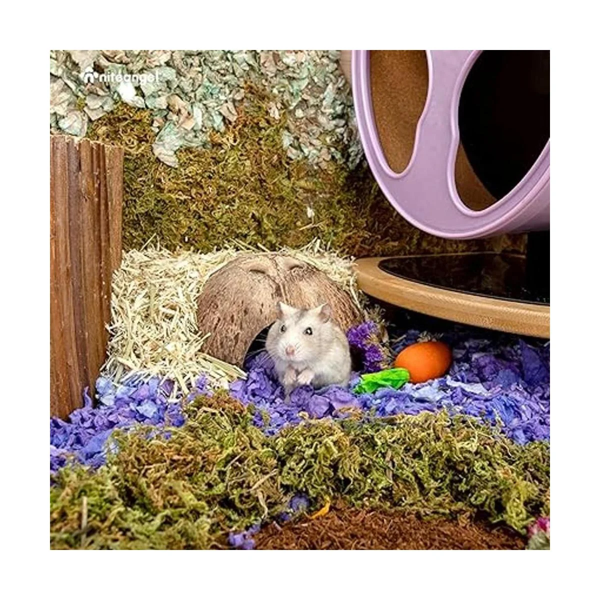 Niteangel Paquete de 2 escondites de reptil de coco