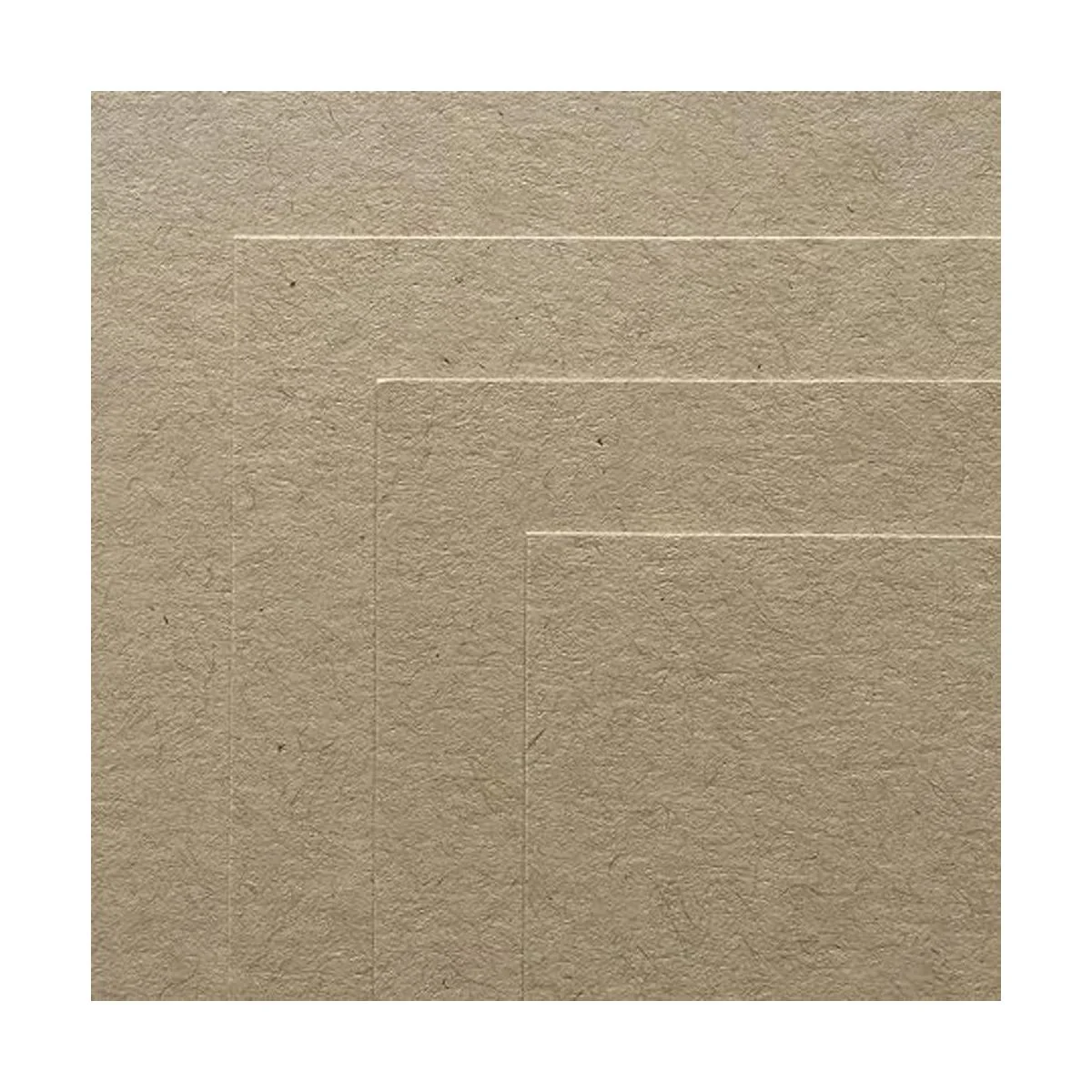 KRAFT SPECKLETONE Papel de cartulina 100 reciclado 12.0_3