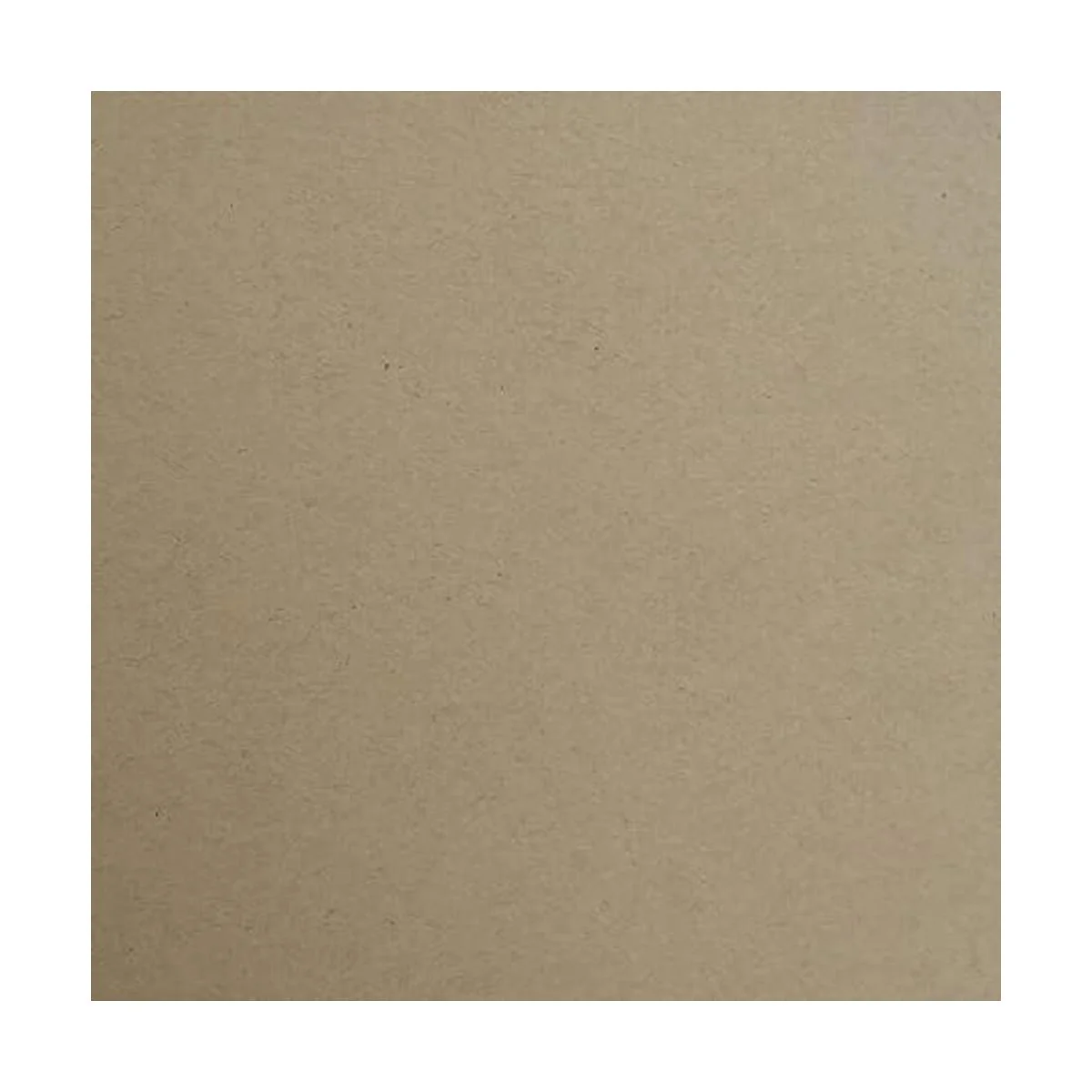 KRAFT SPECKLETONE Papel de cartulina 100 reciclado 12.0_2