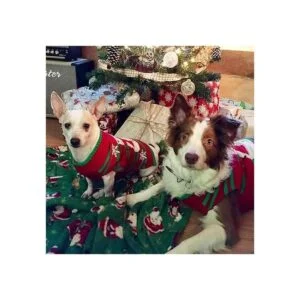 NACOCO Suéteres para nieve para perros con forma de_2