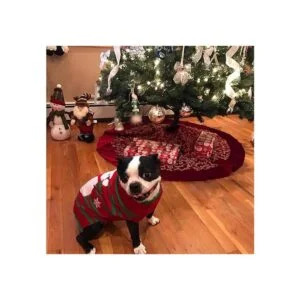 NACOCO Suéteres para nieve para perros con forma de_4