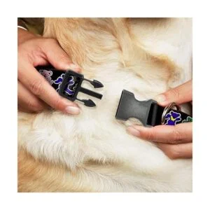 Dancing Bears buckledown NegroMulti Color de plástico_2