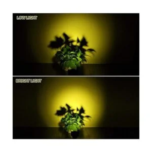 TSUN 4 luces LED para jardín