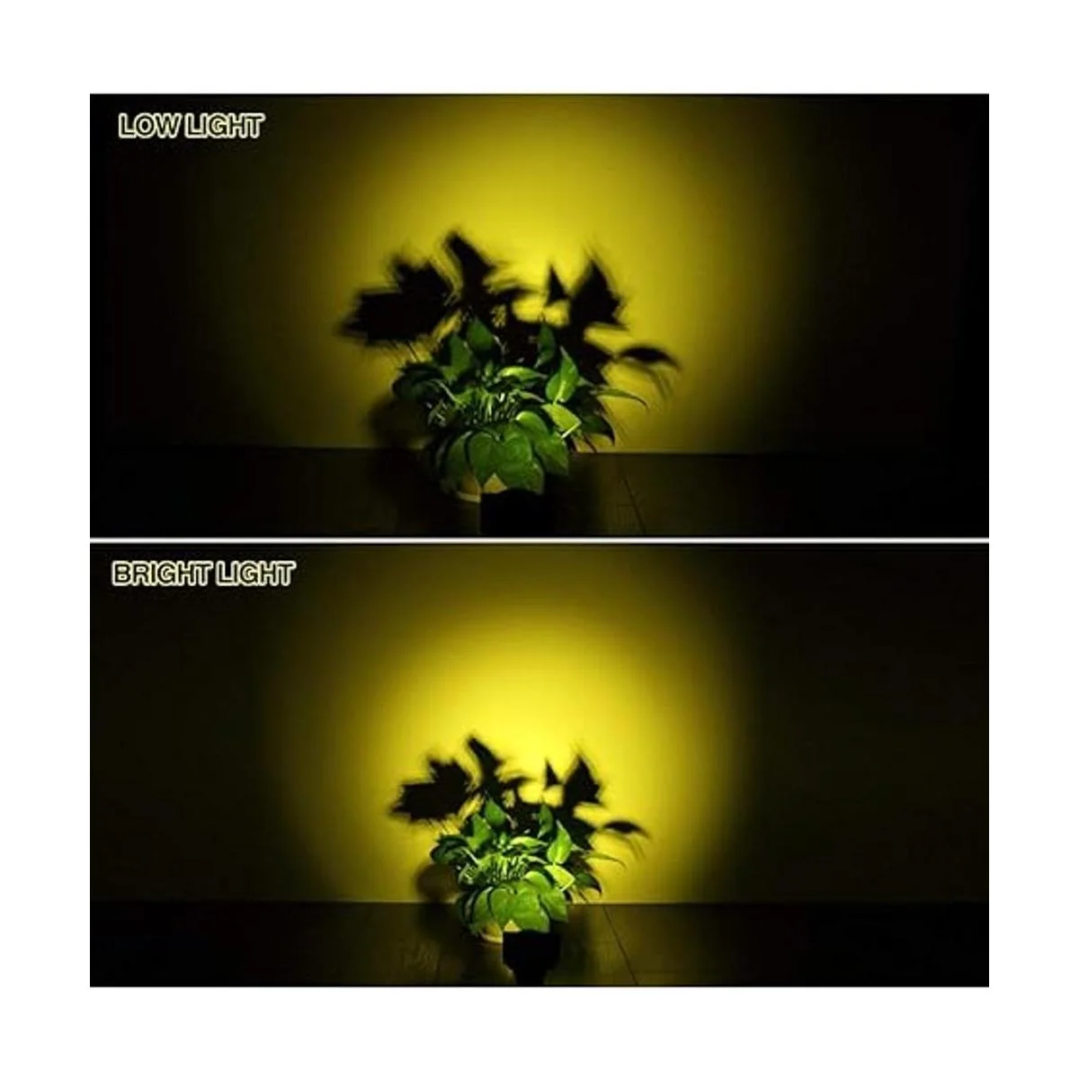 TSUN 4 luces LED para jardín