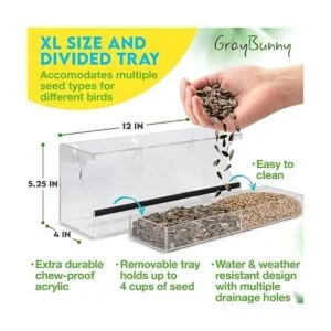 Gray Bunny Comedero transparente de lujo para pájaros con_4