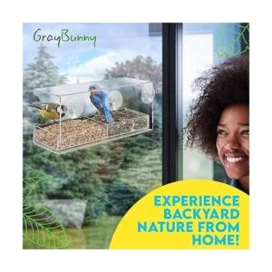 Gray Bunny Comedero transparente de lujo para pájaros con_2