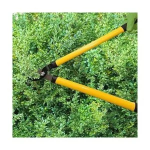 Centurion 1222 Juego de 3 piezas para lopper tijeras de_5