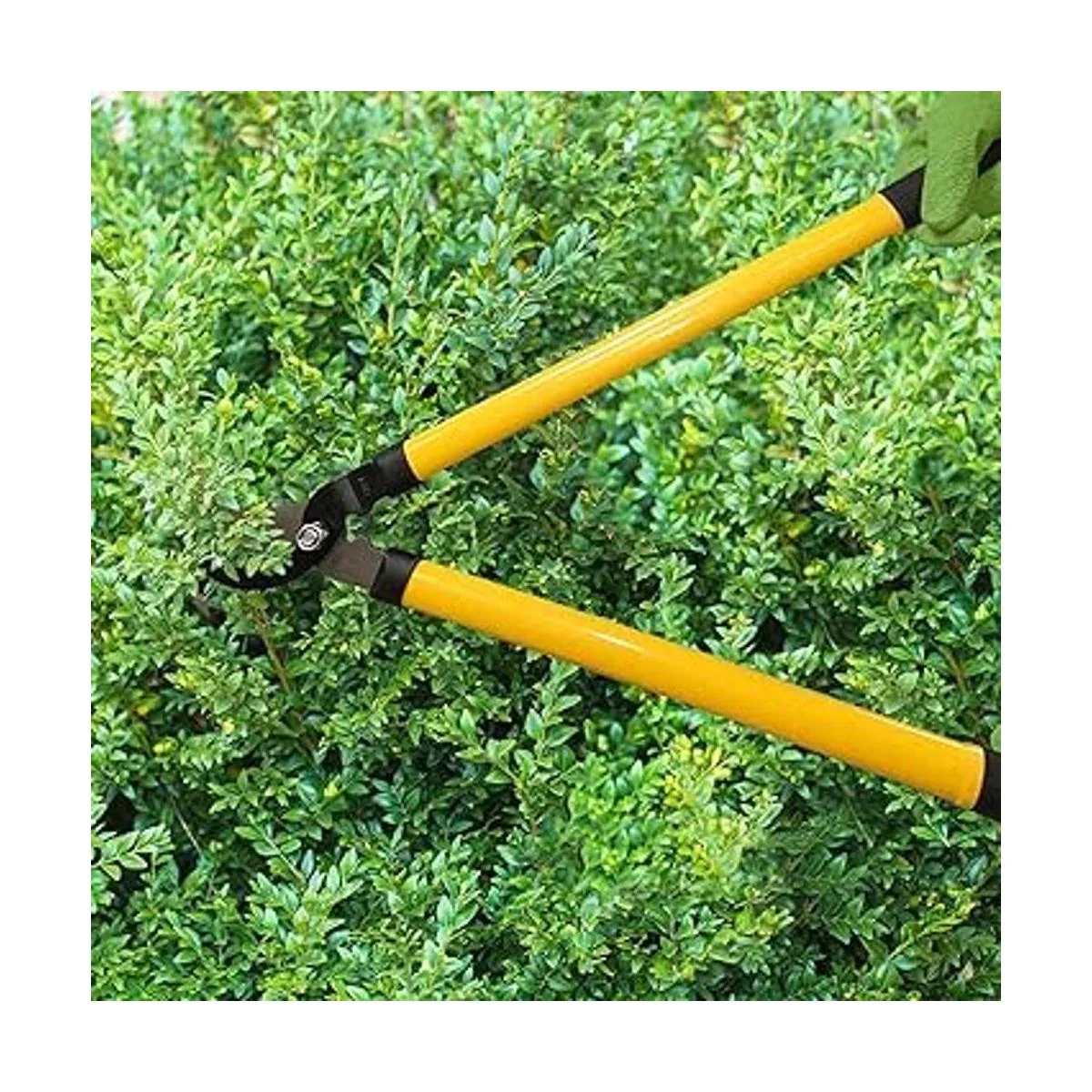 Centurion 1222 Juego de 3 piezas para lopper tijeras de_5