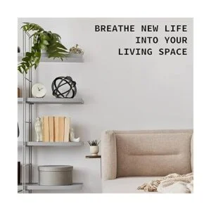 Esfera de hierro negra y dorada 7 pulgadas escultura de_4