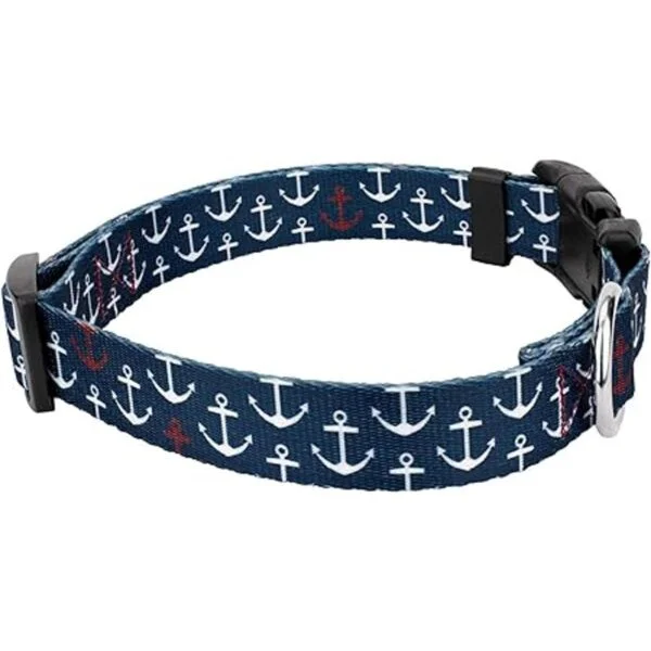 Country Brook Petz Collar de perro con anclajes de lujo_3