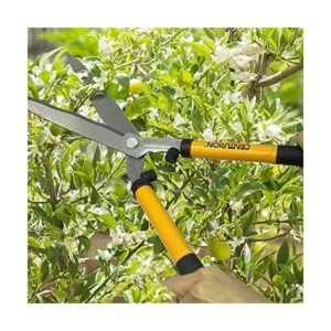 Centurion 1222 Juego de 3 piezas para lopper tijeras de_6