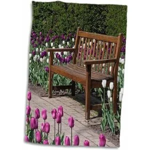 3dRose Danita Delimont Jardín Banco en Garden Path_4