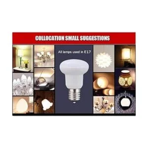 Paquete de 4 BR14 R14 E17 Bombilla LED 3 W equivalente