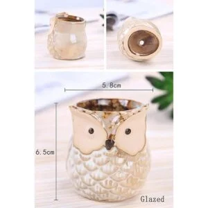 ROSE CREATE pequeñas macetas de 2.5 6.35 cm en forma