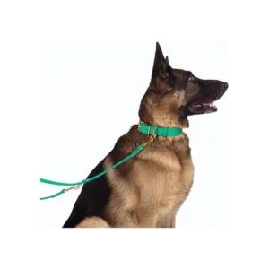 BronzeDog Collar de cuero para perro con hebilla duradera