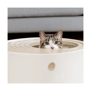 IRIS USA Caja de arena para gatos_5