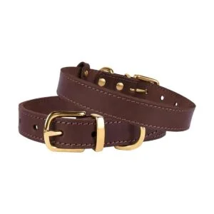 BronzeDog Collar de cuero para perro con hebilla duradera