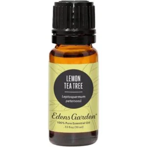 Edens Garden Aceite esencial de árbol de té de limón 100_1