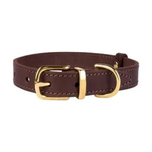 BronzeDog Collar de cuero para perro con hebilla duradera