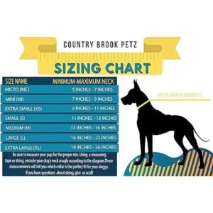 Country Brook Petz Collar de perro con anclajes de lujo_6