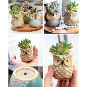 ROSE CREATE pequeñas macetas de 2.5 6.35 cm en forma