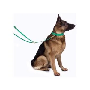 BronzeDog Collar de cuero para perro con hebilla duradera